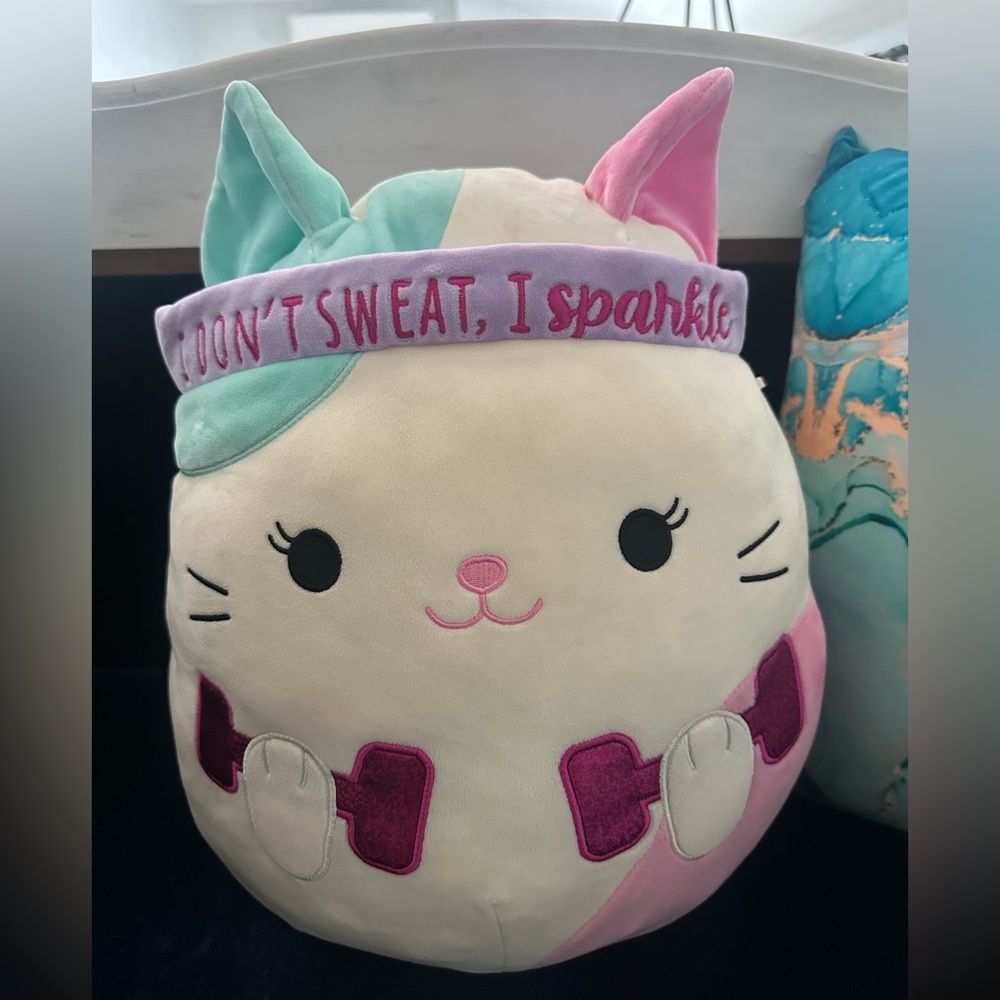 Squishmallows Plush with Multicolor Logo